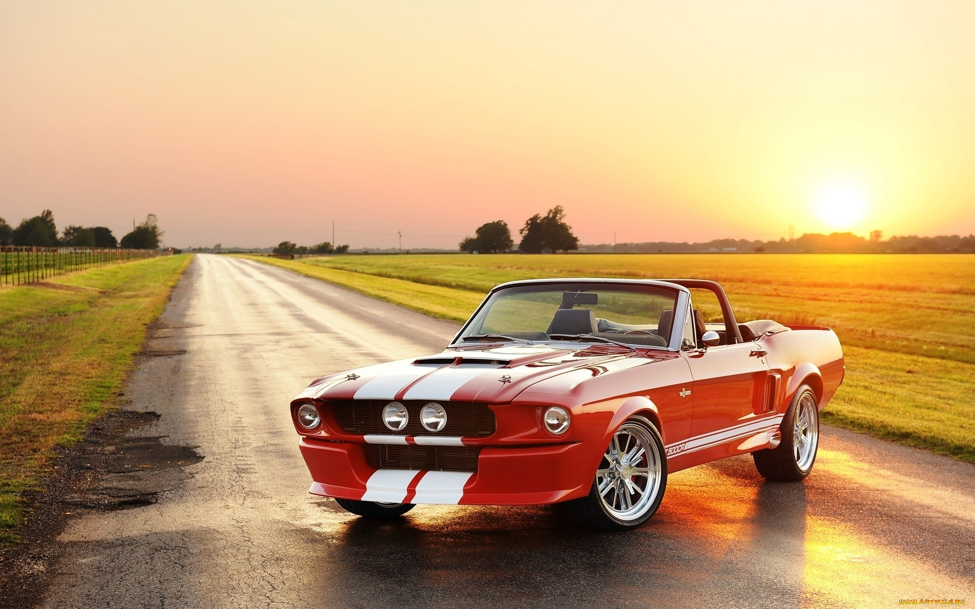 ford, mustang, gt, 500, cabrio, , , , , 